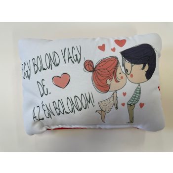 Négyzet Párna Bolond