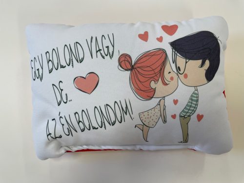Négyzet Párna Bolond
